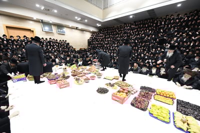 האדמו"ר מבעלזא בטיש ט"ו בשבט 