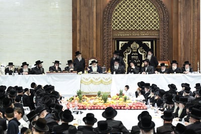 ט"ו בשבט בחצה"ק צאנז