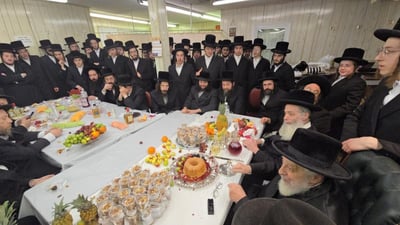 ט"ו בשבט בחצה"ק ליסקא