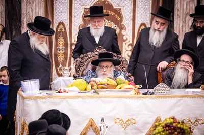 חמשה עשר בשבט בחצר הקודש צאנז קלויזענבורג