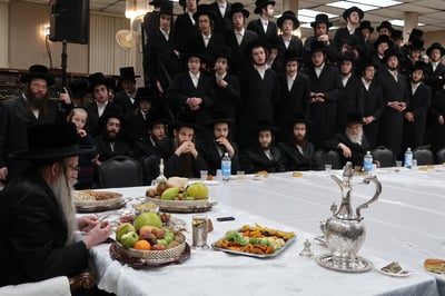 ט"ו בשבט בחצה"ק צאנז זוועהיל