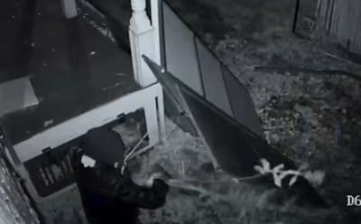 אוסף עצים מחוץ למבנה