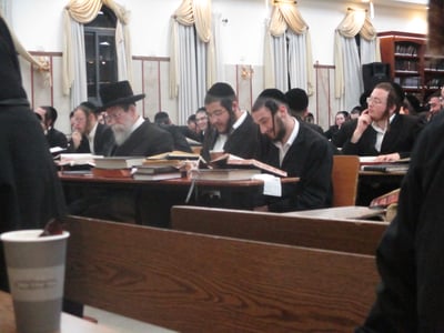 האדמו"ר מבאיאן בלימוד בהיכל הישיבה