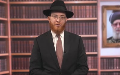 מדד הפיצה מזנק: האם מותר לאכול פיצה עם טונה? • צפו