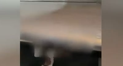 הלוחמים הופתעו: זה מה שהתגלה מתחת ל"דופן הכפולה" במשאית | צפו