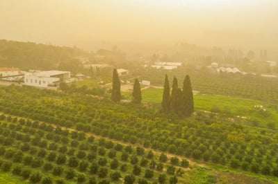 רמת השרון, השבוע