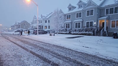 מראות השלג בארה"ב  - אדר תשפ"ו