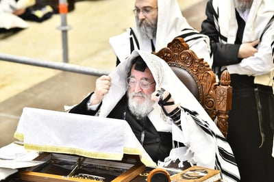 האדמו"ר מויז'ניץ