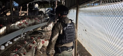 רקטה שפגעה בלול בצפון הארץ