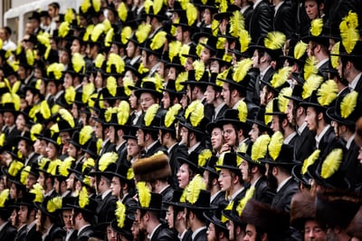 פורים בחצה"ק באבוב 45