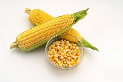 קלחי תירס לצד גרגירים