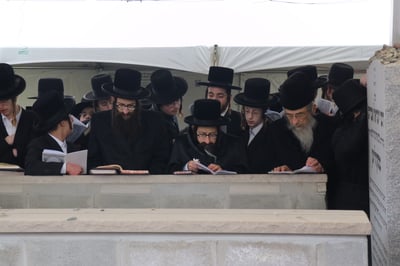 הילולא קדישא בסקולען