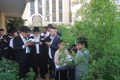 הרב יגאל כהן בברכת האילנות