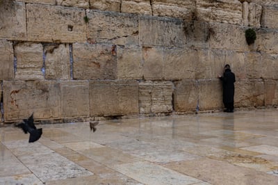 מתפללים בכותל המערבי