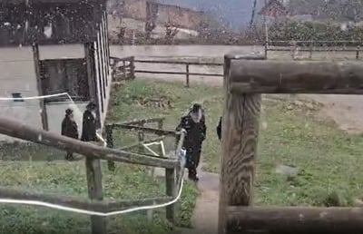 באמצע המלחמה: חבר המועצת הבכיר יצא מהארץ לפסגה המושלגת | הסיבה וסיקור