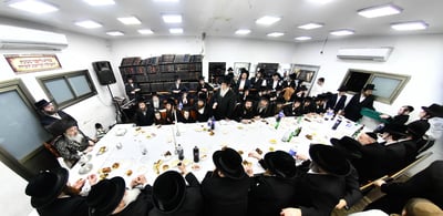 יום הצלה בחצה"ק זוטשקא אמסנא