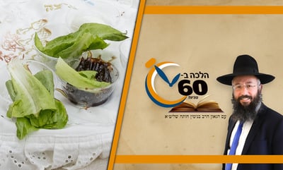 מרור וכרפס מגידולי מים - האם יוצאים בהם ידי חובה בליל הסדר? • צפו 