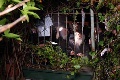 האדמו"ר מנדבורנה ירושלים בברכת האילנות