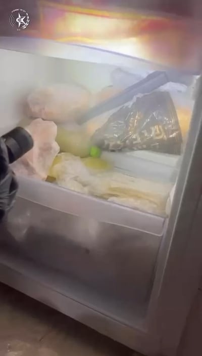 בין הקפואים ללחם: השוטר פתח את המקפיא הביתי - וזה מה שמצא בו