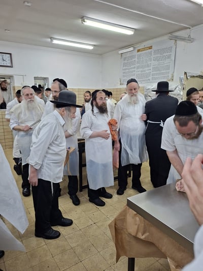 האדמו"ר מאמשינוב באפיית מצות 