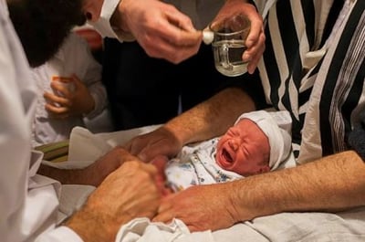 ברית | ארכיון