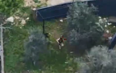 צפו: המחבלים מתגנבים בין העצים - בזמן שצה"ל עוקב אחריהם מלמעלה