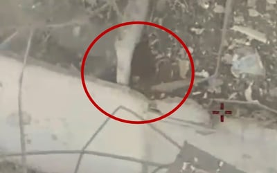 הלחימה בלבנון: המחבל תועד מנסה לברוח - והחשבון נסגר מהאוויר