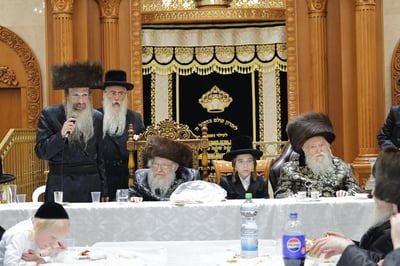 שמחת הבר מצווה בחצרות נדבורנה חיפה - האלמין