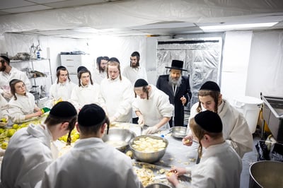 חג הפסח בחצה"ק באבוב 45