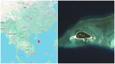 שונית אנטילופ 