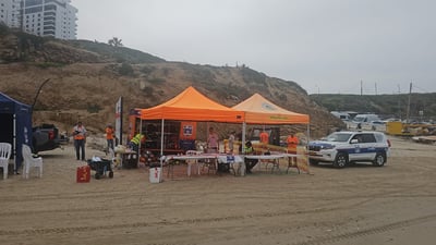 "סלע ספציפי בתוככי הים": המשך החיפוש אחר האח הנוסף לבית שפיגל