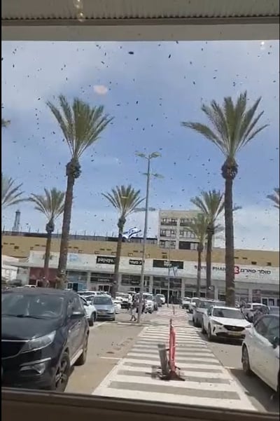 דרמה בנתיבות: מכת דבורים פלשה למרכז המסחרי ואילצה חנויות לנעול דלתות