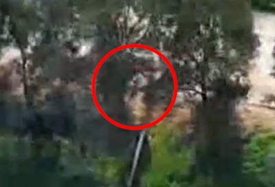 תיעוד דרמטי מלבנון: כך חוסלו מחבלי חיזבאללה שהתחבאו בשיחים 