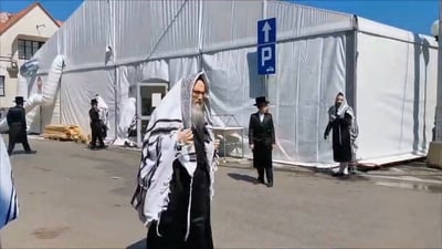 חסידי ויז'ניץ וילאמסבורג בשבת בליזענסק