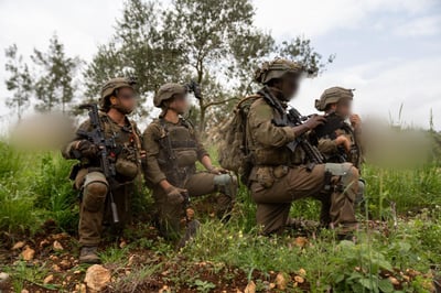 פעילות כוחות חטיבת גולני בדרום לבנון