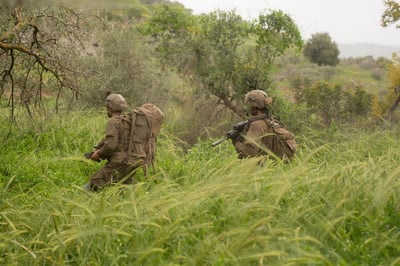 פעילות כוחות חטיבת גולני בדרום לבנון