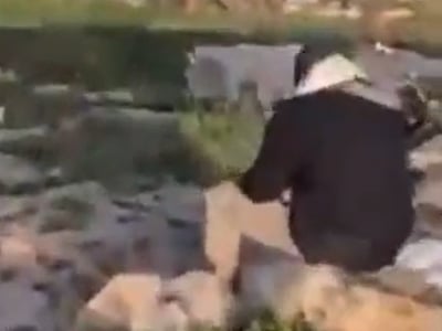 בעל החווה שהותקף על ידי הפעיל השמאלני