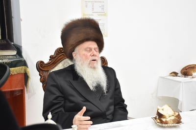 האדמו"ר מוואסלוי
