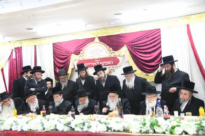 ספר אחד במאה ערים; המהפכה של רשת הכוללים ששינתה את פני עולם החסידות