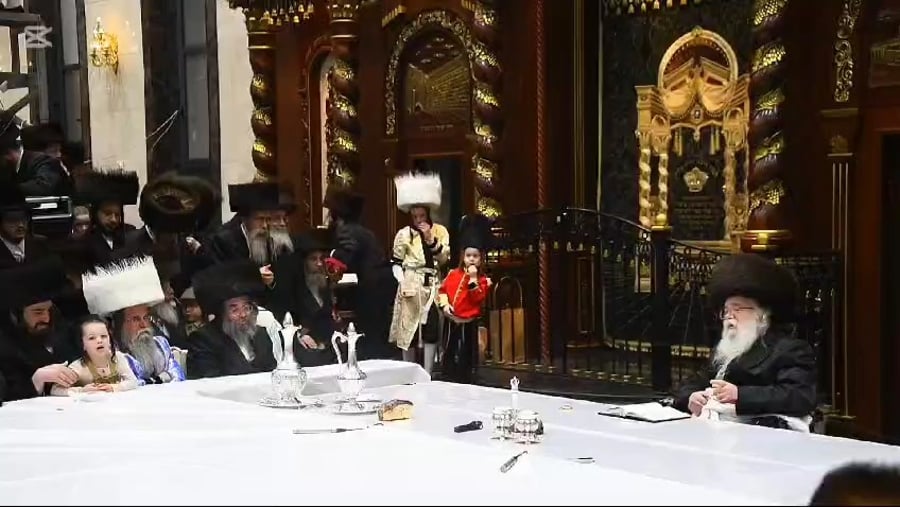 פורים בחצה"ק דארג