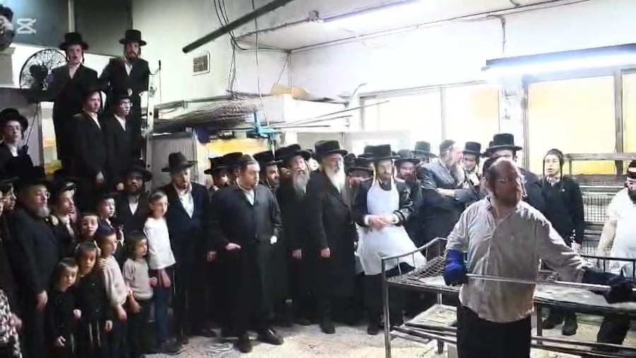 האדמו"ר מסאדיגורה באפיית מצות