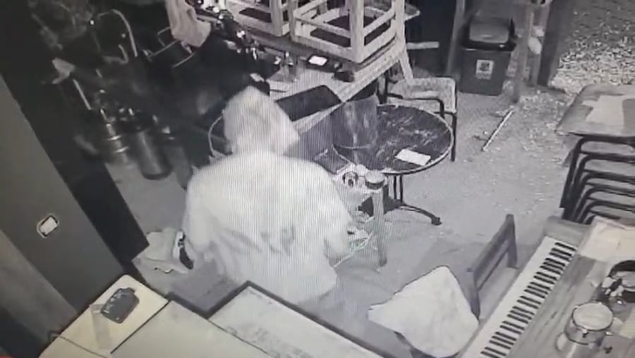 חשב שזה יעזור: הפורץ מכסה את פניו בשקית ניילון בתל אביב | צפו