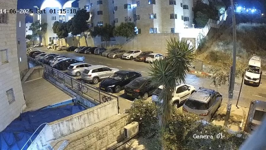 צפו בתיעוד