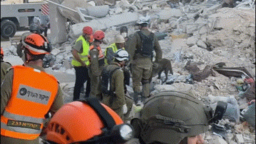 הכלבנים הצטרפו לחיפושים אחר הנעדרים בזירת הנפילת בבת ים | צפו בתיעוד