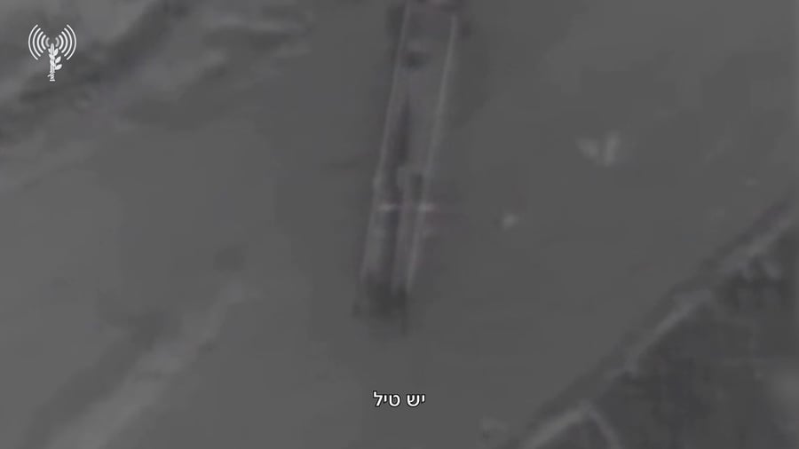 סיכול חולייה איראנית