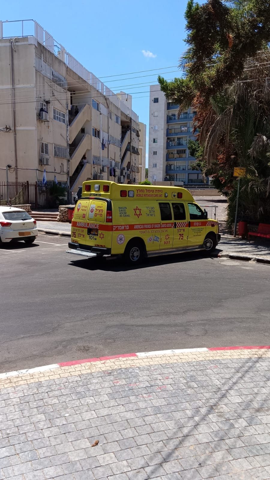 הזירה ביבנה