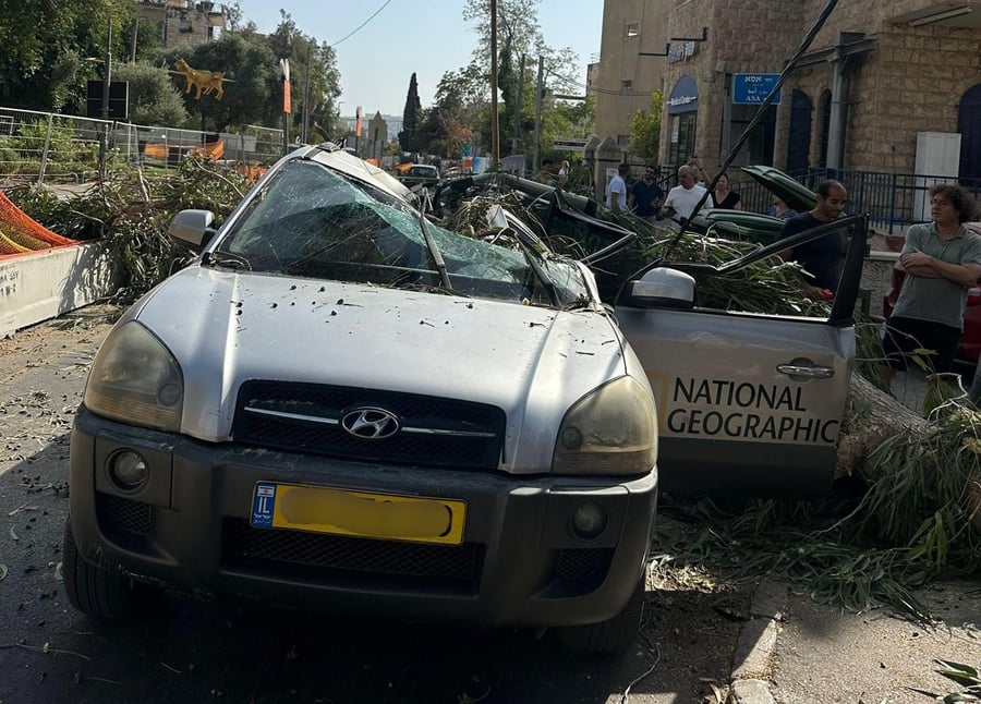 ירושלים: עץ קרס במפתיע על רכב; הנהג חולץ ופונה במצב בינוני
