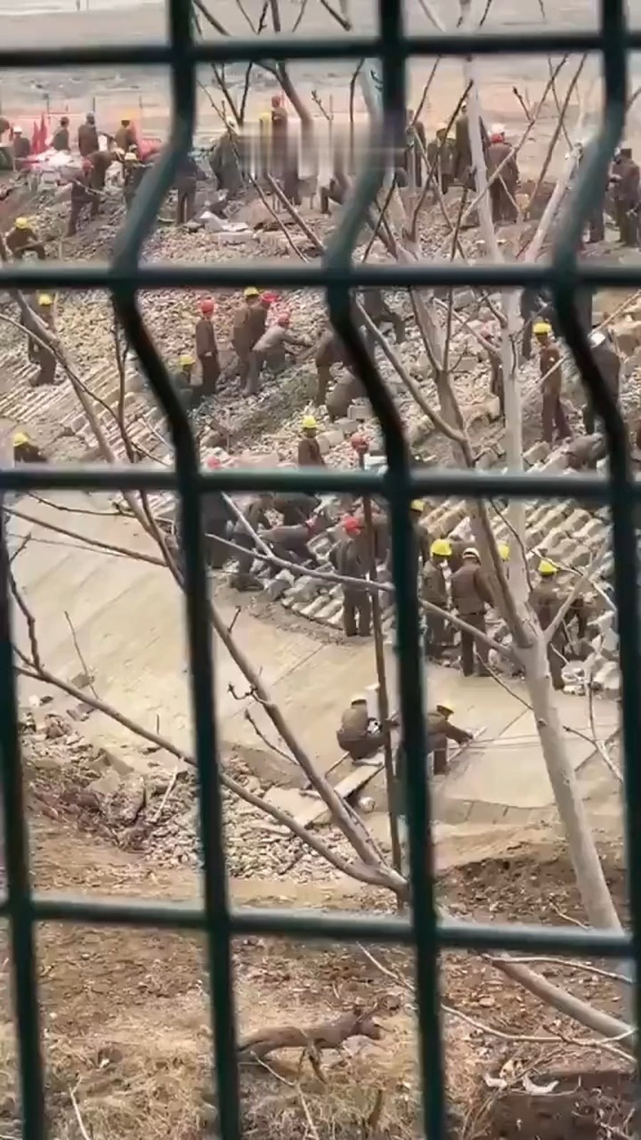 עובדי כפייה תחת שטיפת מוח בצפון קוריאה