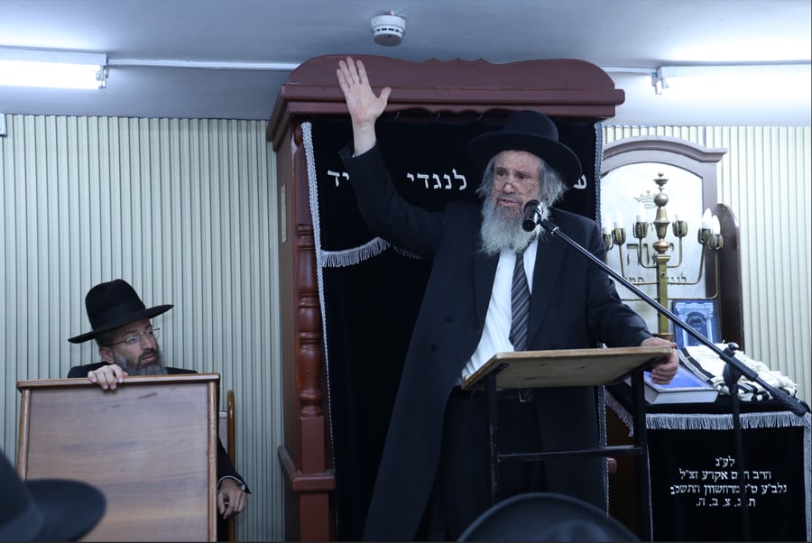 הרב דוד כהן