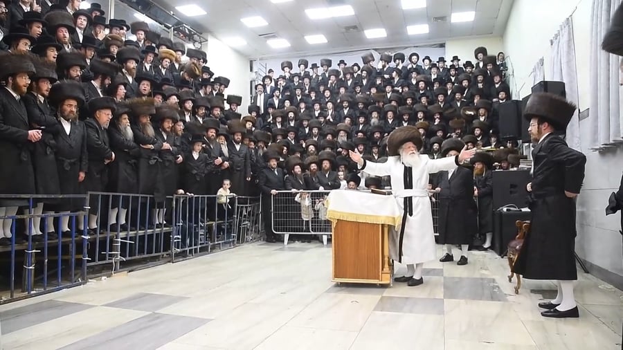 סווכת - הושענא רבה - שמחת תורה, בחצה"ק נדבורנה ירושלים